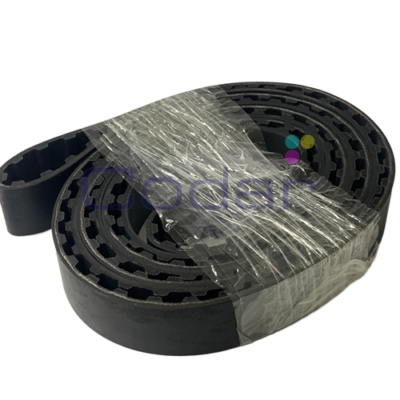Aster Gripper Belt (without Hole)